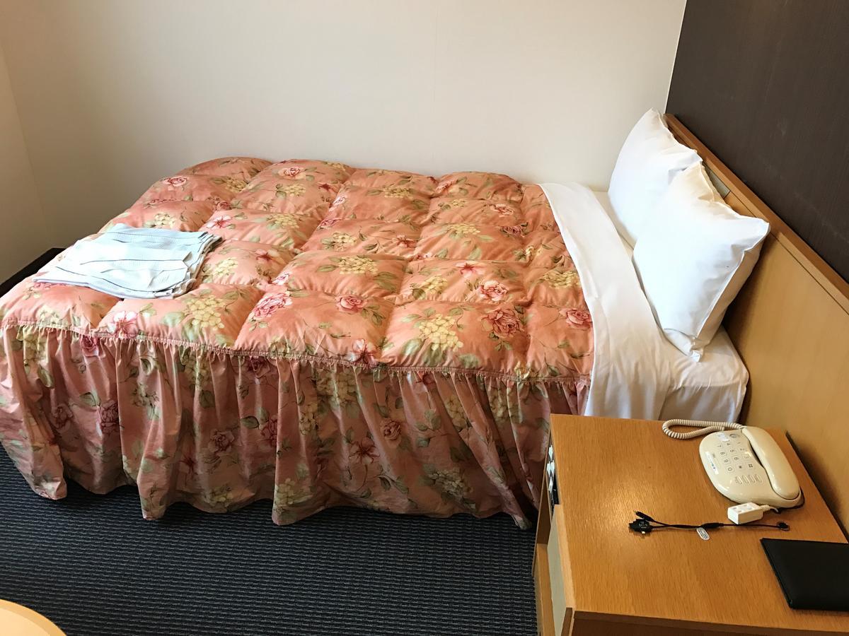 Shin Sayama Hotel エクステリア 写真